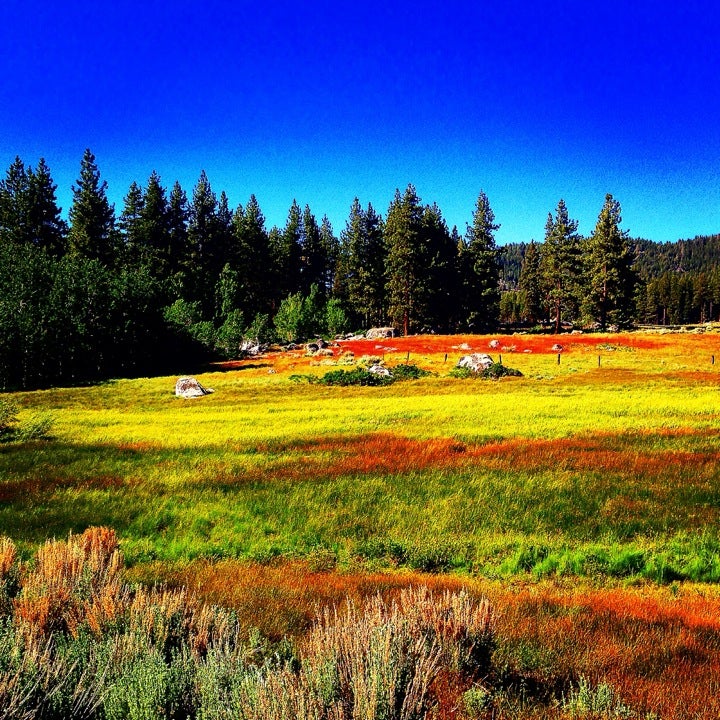 Washoe Meadows State Park, Sawmill Rd, South Lake Tahoe, CA, Parks