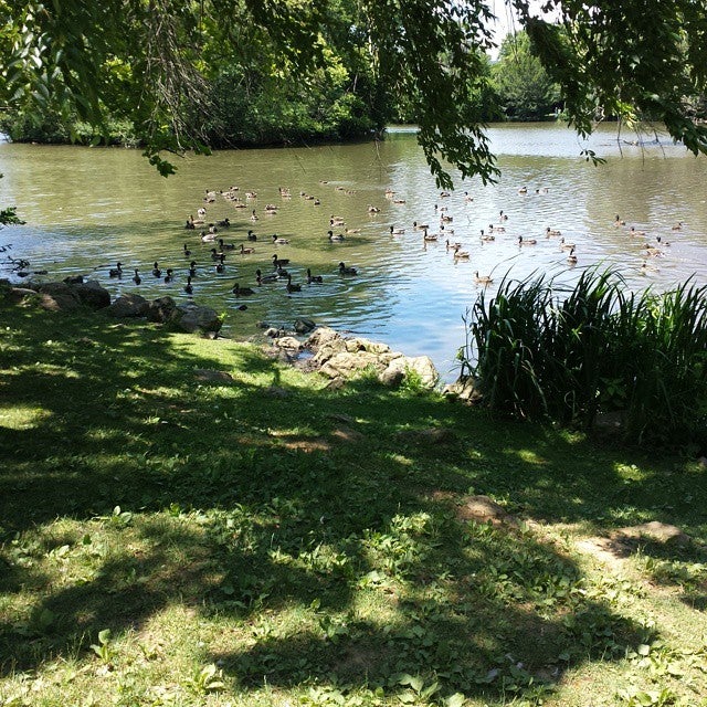 Duck Pond, Duckpond Dr, Blacksburg, VA MapQuest