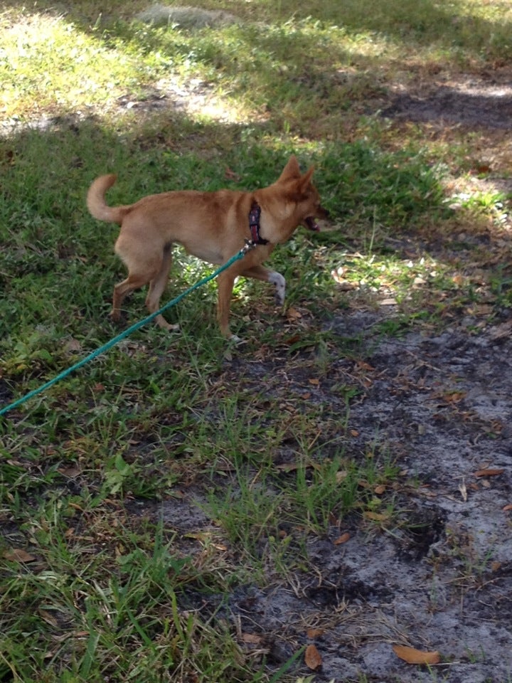 Coleman Landing Polk County Park, Shady Oaks Camp St, Lake Wales, FL