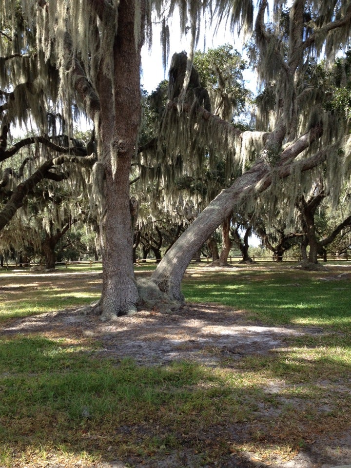 Coleman Landing Polk County Park, Shady Oaks Camp St, Lake Wales, FL