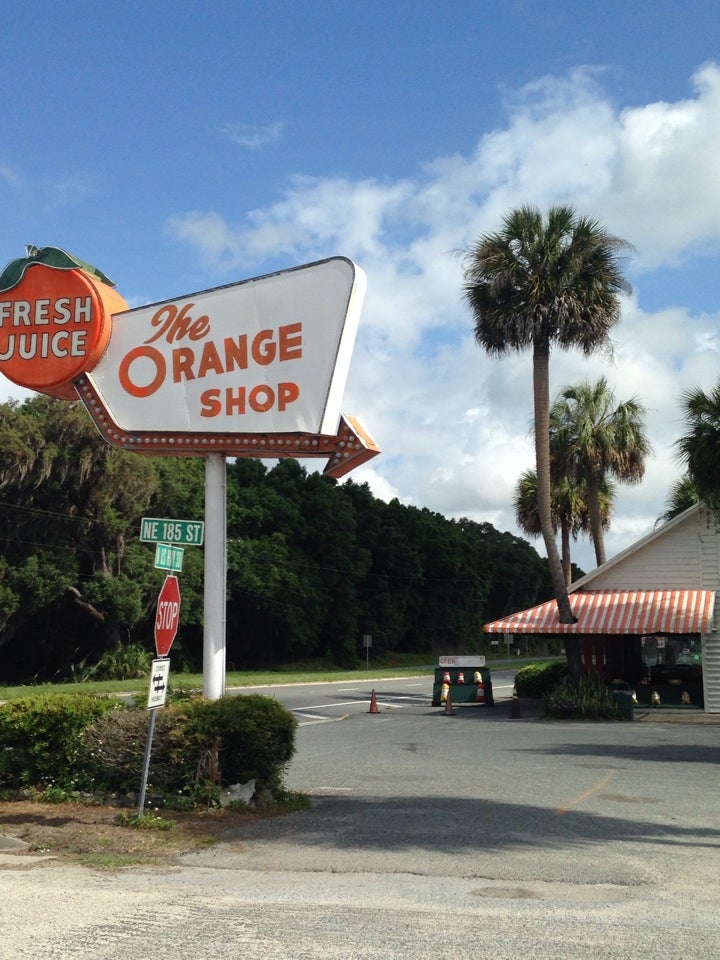 Citra Navel Oranges from The Orange Shop in Citra, Florida