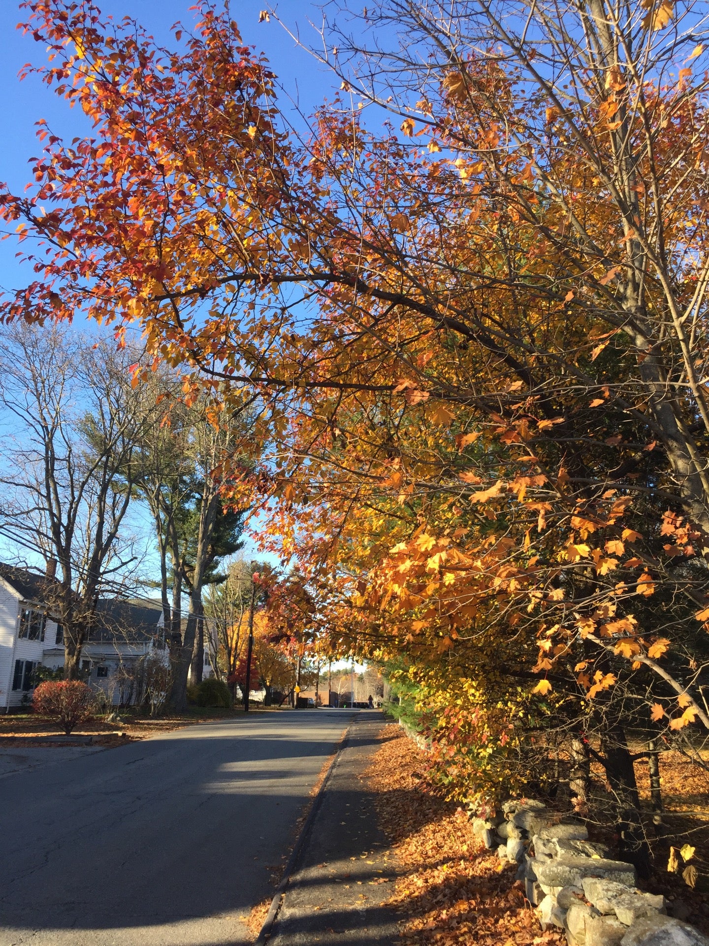 Gates Elementary School, 75 Spruce St, Acton, MA MapQuest