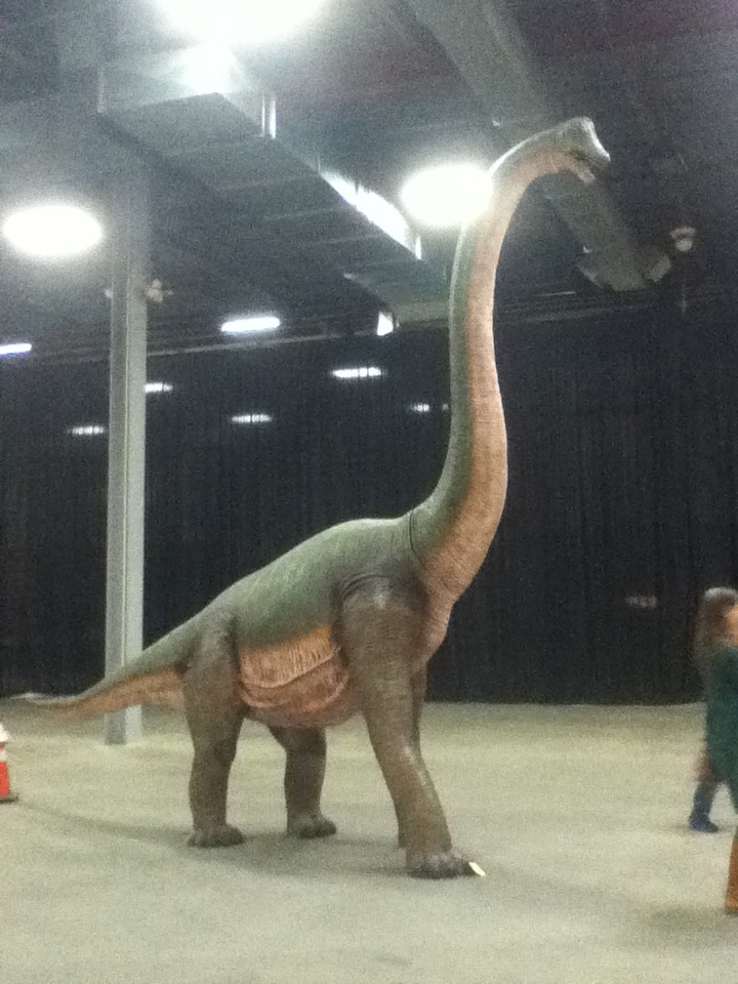 New Jersey Convention & Exposition Center, 97 Sunfield Ave, Edison, NJ