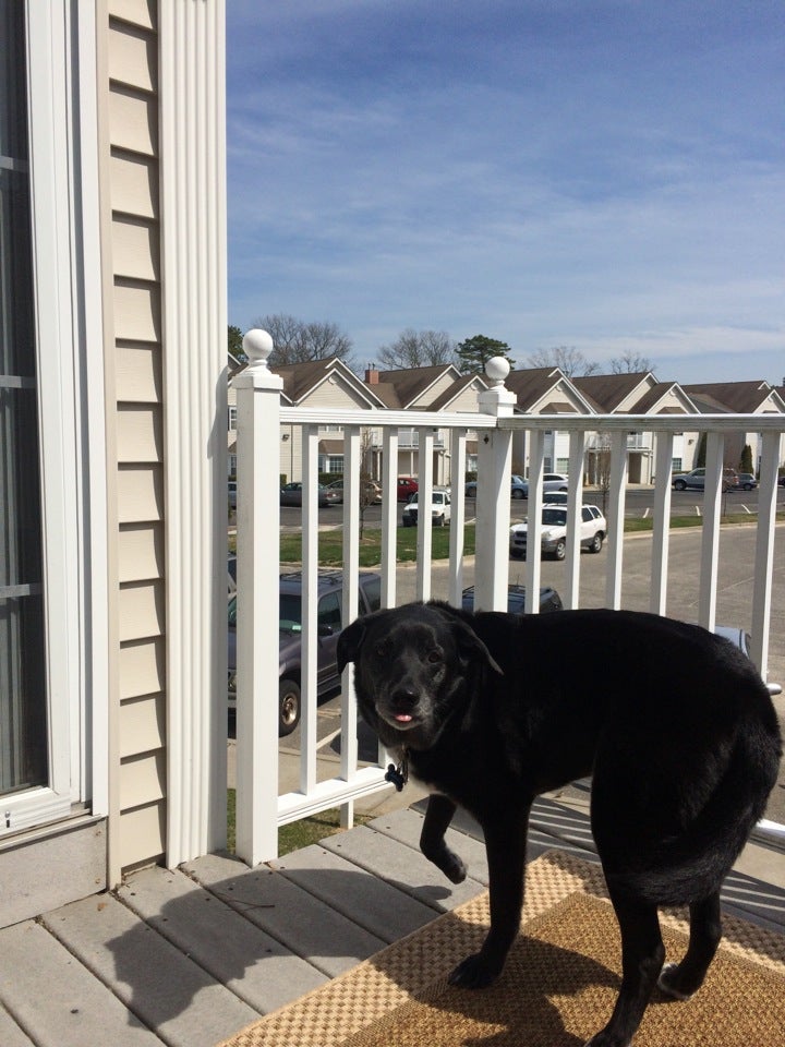 Fairfield Knolls at Sayville, 400 Adams Way, Sayville, NY, Real Estate MapQuest