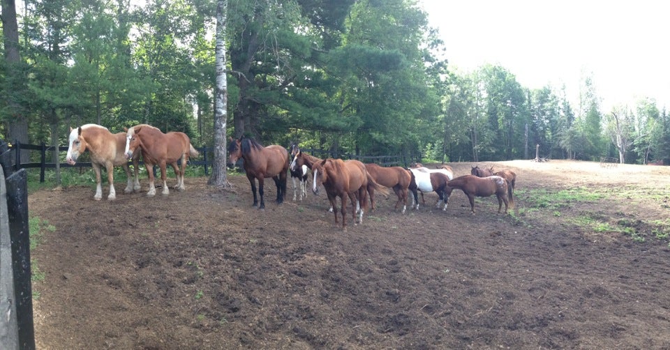 Kingsley, MI Map & Directions MapQuest