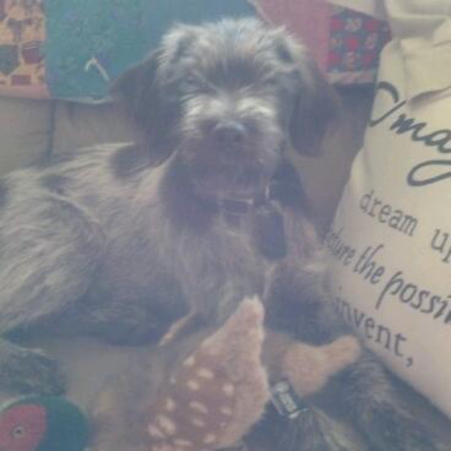 Conrad, MT Map & Directions MapQuest