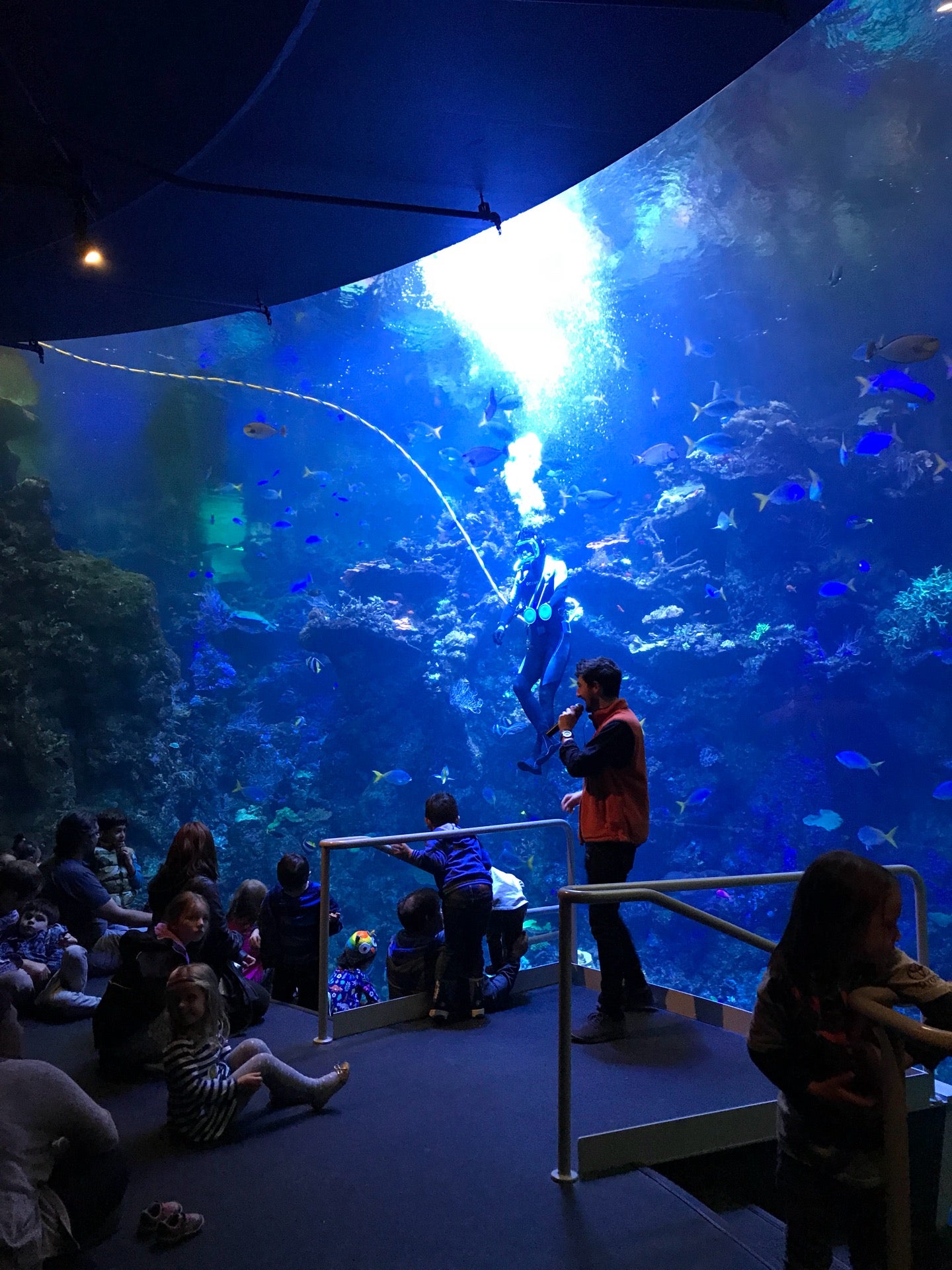Philippine Coral Reef Exhibit, 55 Music Concourse Dr, San Francisco, CA