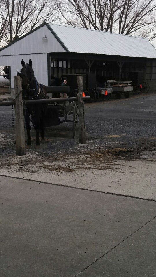 Kutztown Produce Auction Inc, 209 Oakhaven Rd, Richmond Twp, PA