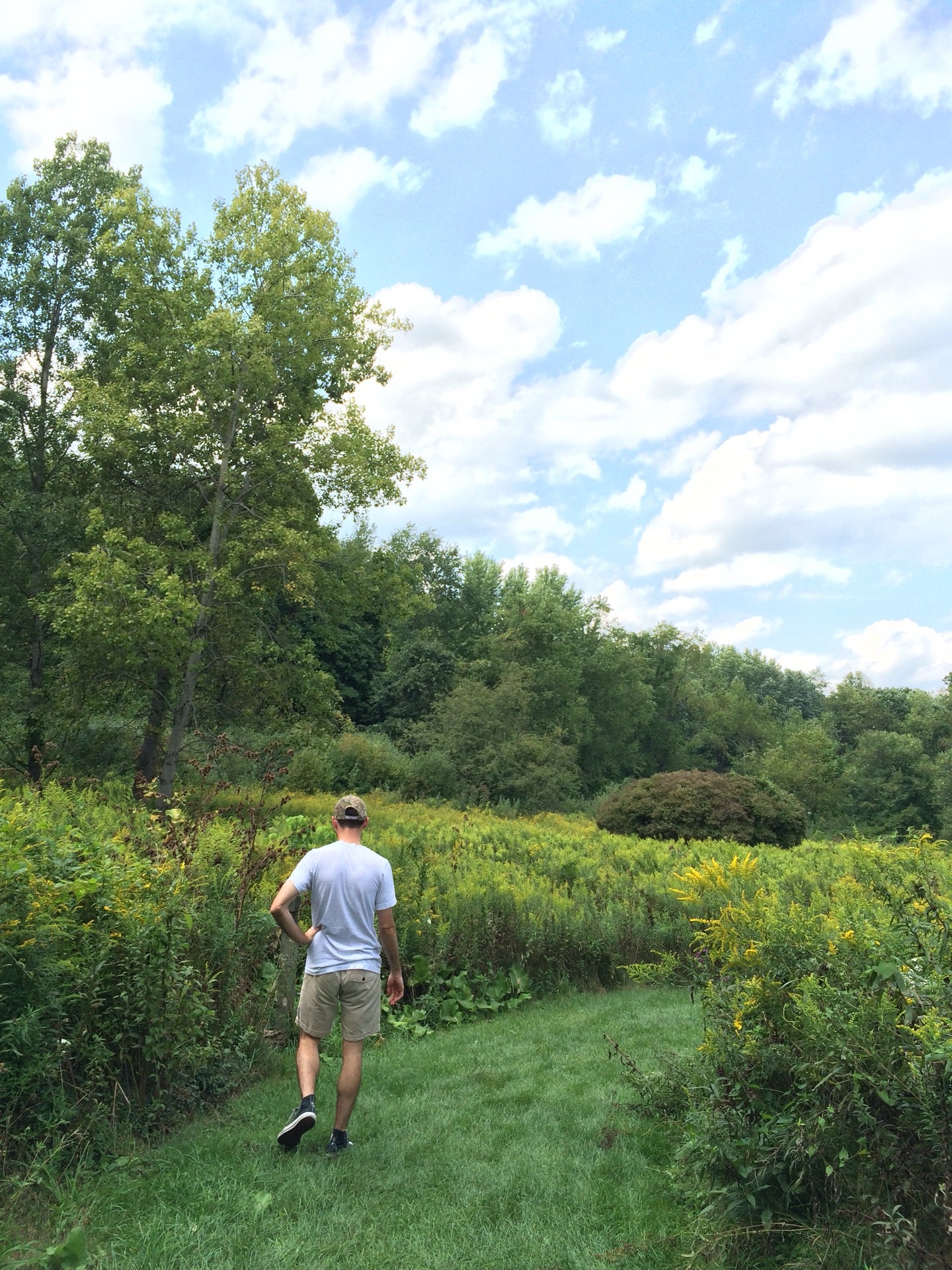 Indiana, PA Map & Directions MapQuest