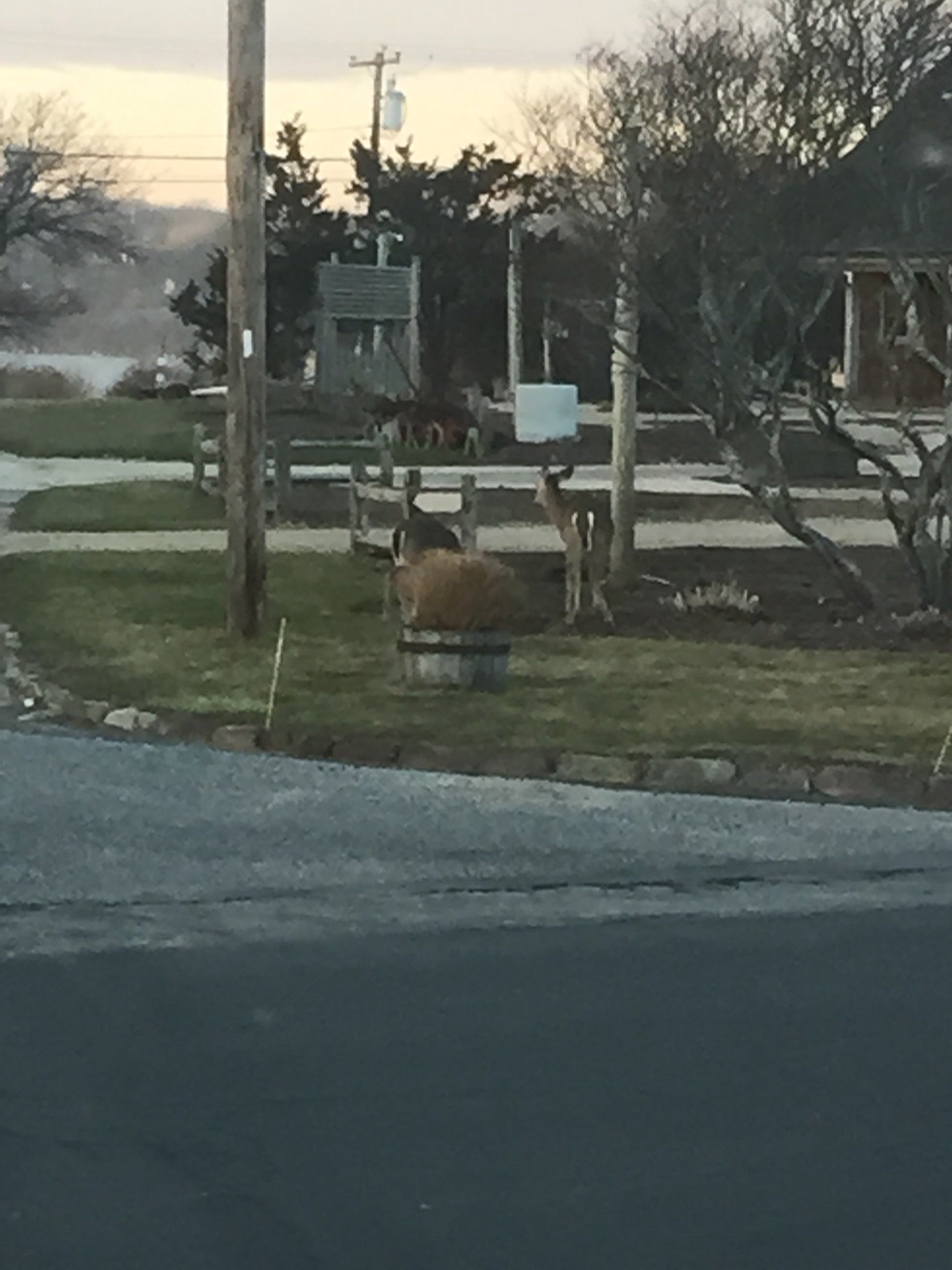 Hampton Jitney Montauk, 34 S Euclid Ave, East Hampton, Town of, NY