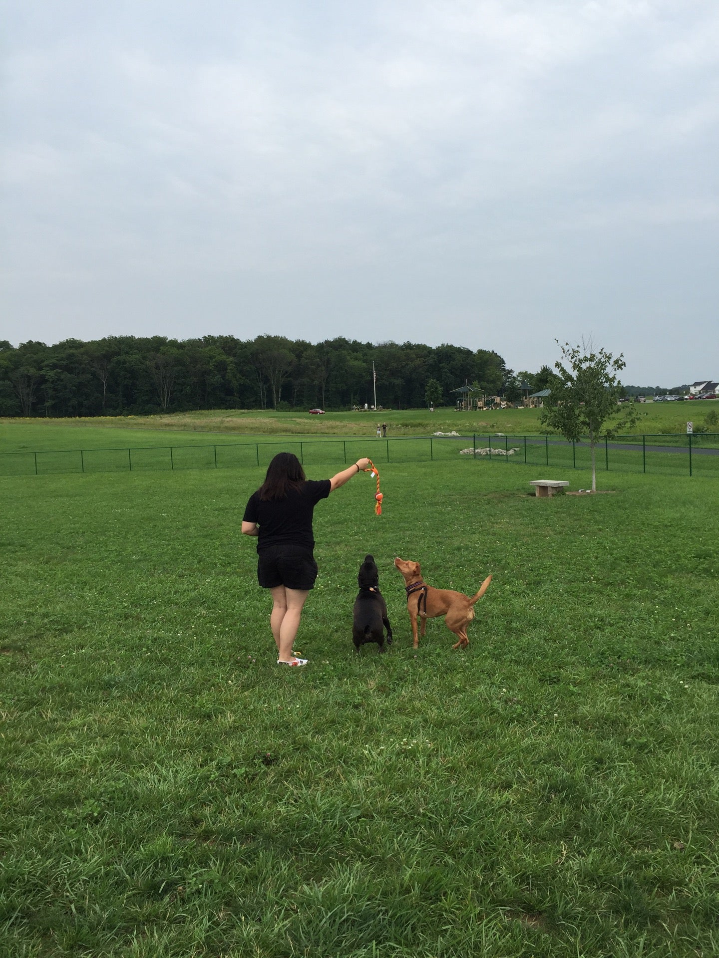 Mary Virginia Crites Hannan Park, 1230 Pontius Rd, Circleville, OH MapQuest