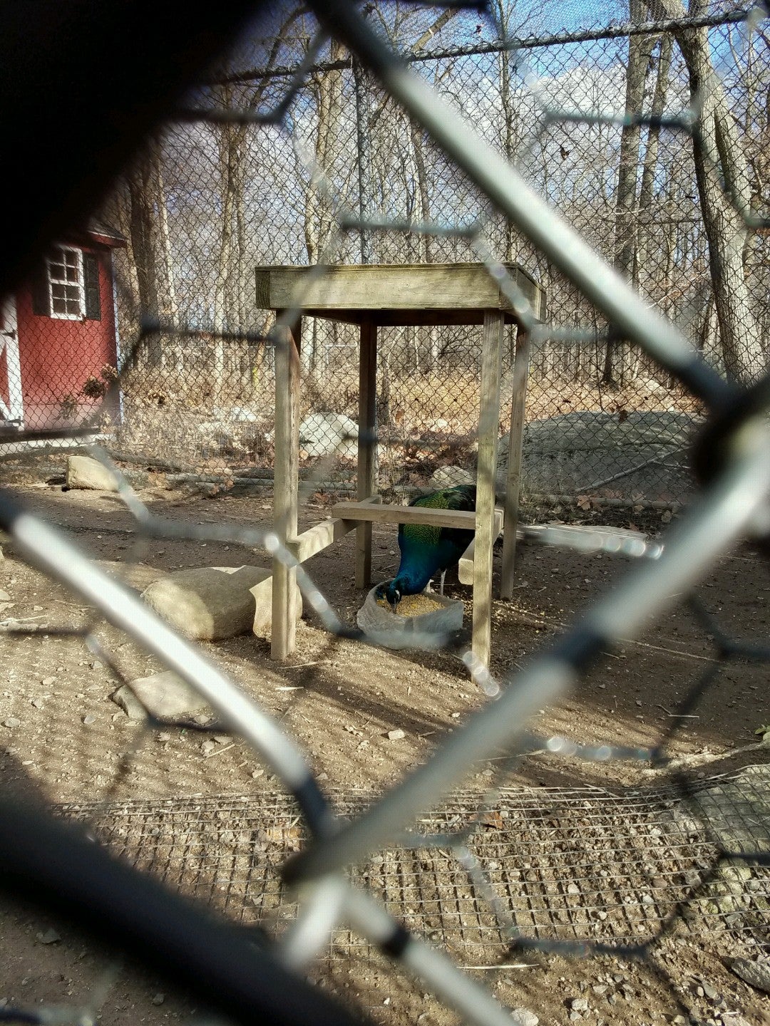 James A McFaul Environmental Center, 182 Anthony Pl, Wyckoff, NJ