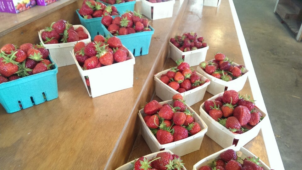 Johnston Fruit Farms, 2790 US Highway 20A, Swanton, OH, Farms MapQuest