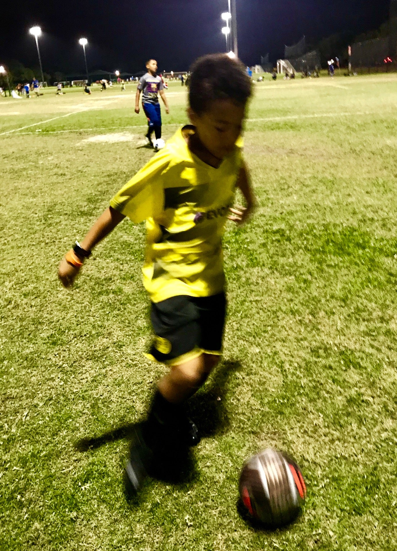 Weston Regional Park Soccer Fields, 20200 Saddle Club Rd, Weston, Fl 