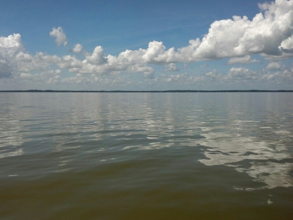 Lake Harris, Leesburg, FL MapQuest