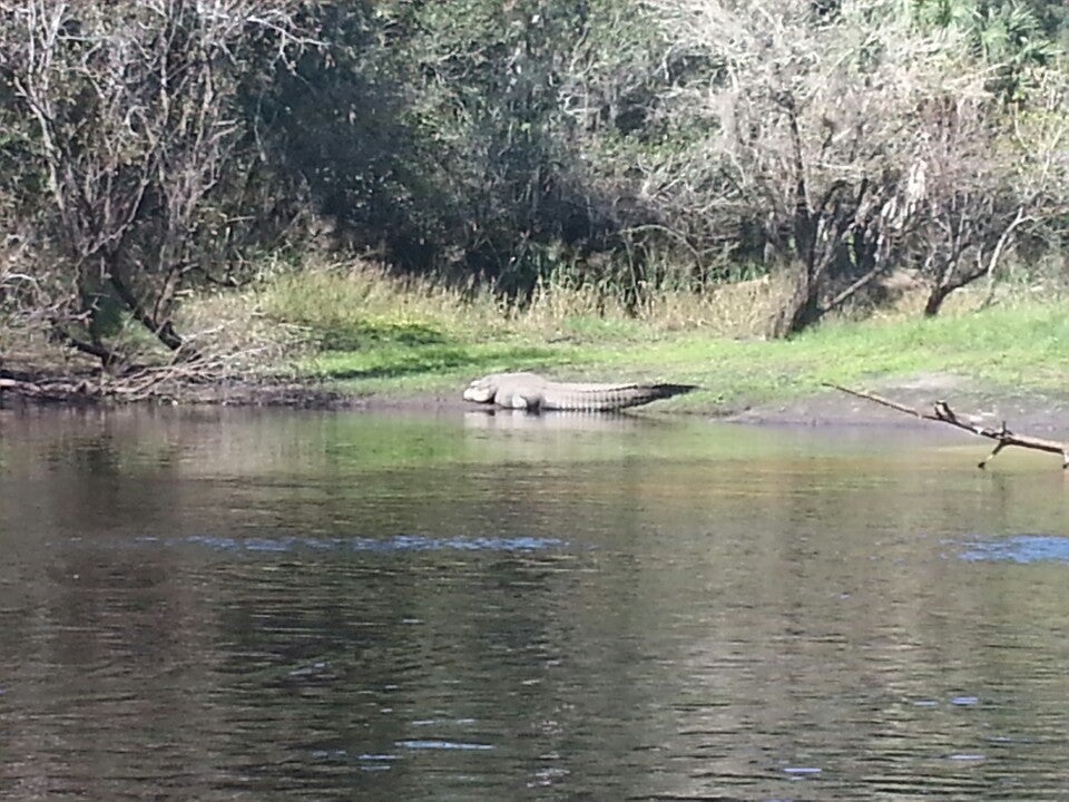 Geneva, FL Map & Directions MapQuest