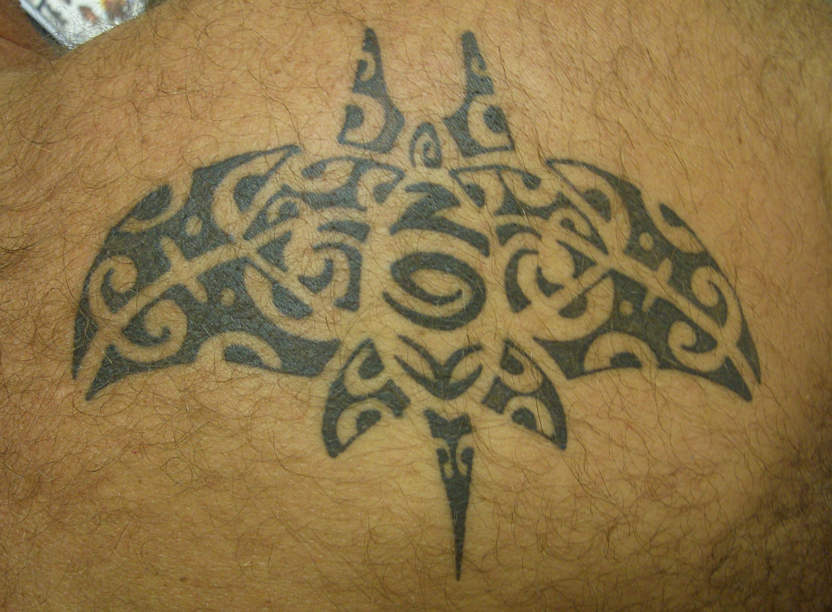 Hawaiian Tattoos  Understanding Their Rich History and Culture  Certified  Tattoo Studios