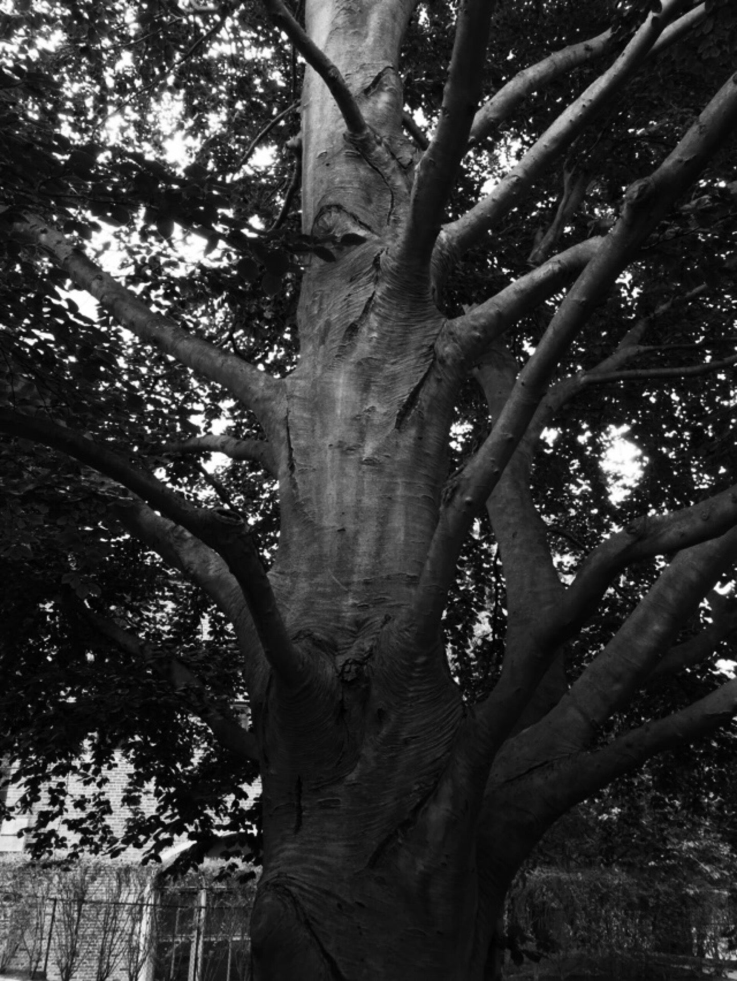 The Pub, 1 Mead Way, Bronxville, NY, Diner MapQuest