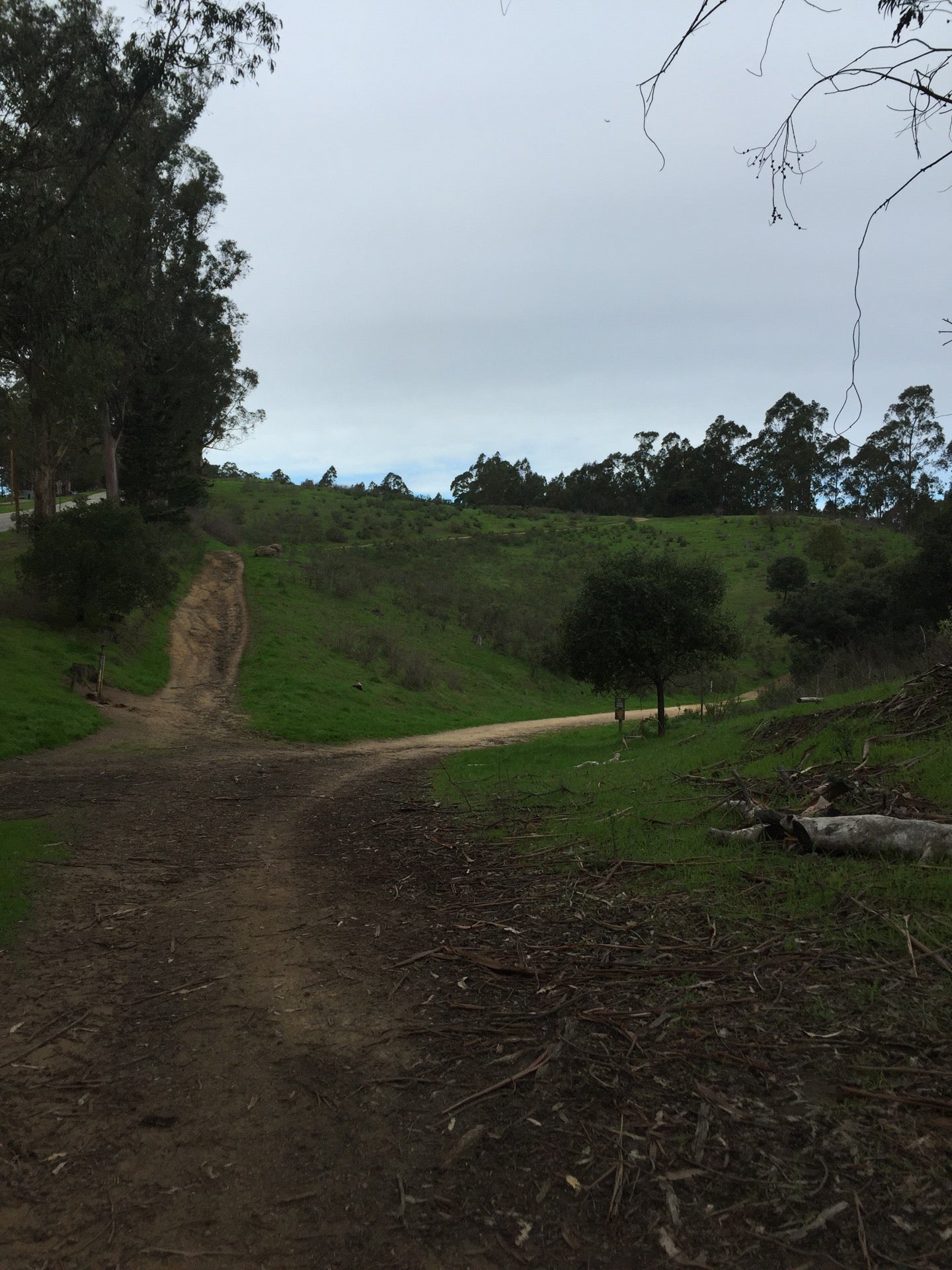 Goldenrod Trail, Oakland, CA, Trail - MapQuest