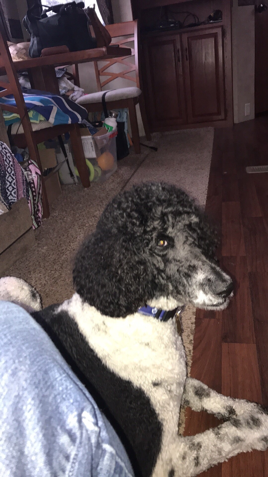 Indiantown, FL Map & Directions MapQuest