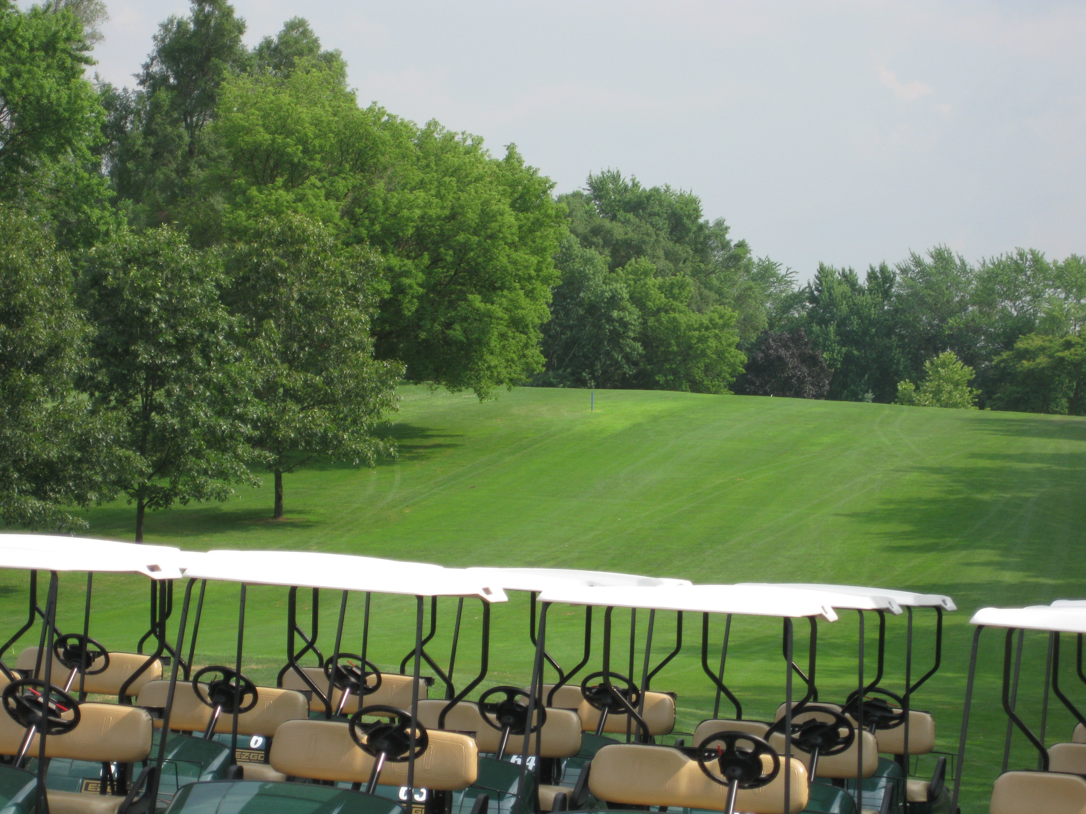 Clark Lake Golf Course, 5535 Wesch Rd, Brooklyn, MI, Golf Courses