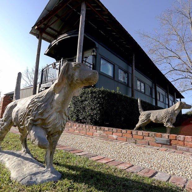 Pavo, GA Map & Directions MapQuest