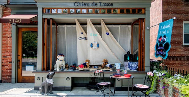 Dog Boutique, Chien De Luxe, Palisades