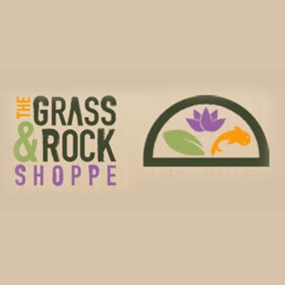 Rocks - The Grass & Rock Shoppe