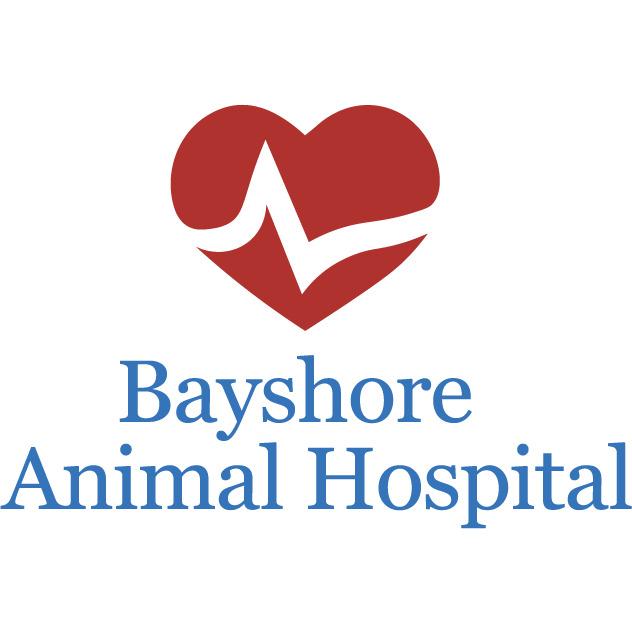 bayshore animal hospital bradenton