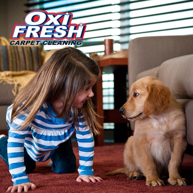 Oxi Fresh Of Greater Columbia Carpet Cleaning 923 E Broadway Mo And Upholstery On Customer Premises Mapquest