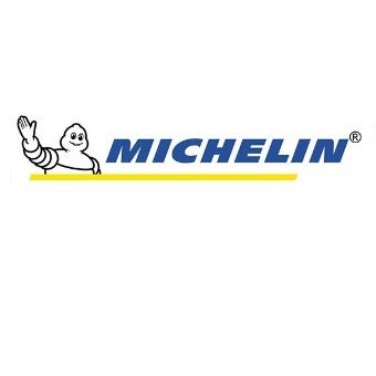 michelin tire logo vector