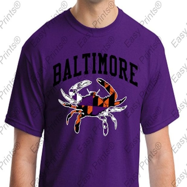Beast of The East Maryland Flag Baltimore Orioles Ravens Gray T-Shirt