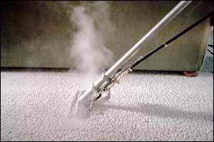 Steam Worx 7301 West Blvd Unit C2 Youngstown OH Carpet and