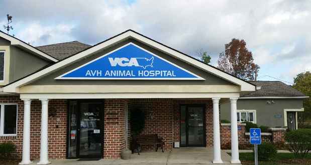 VCA AVH Animal Hospital, 1027 Blue Valley Drive, Pen Argyl, PA, Pet  Services - MapQuest