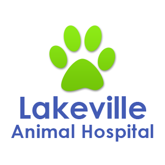 Lakeville Animal Hospital, 2 Clear Pond Rd, Lakeville, MA, Veterinarians -  MapQuest
