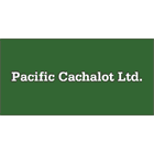 Pacific Cachalot
