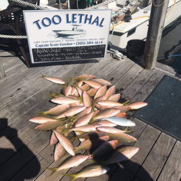 About Captain Scott - Too Lethal Charters - 305-304-1614