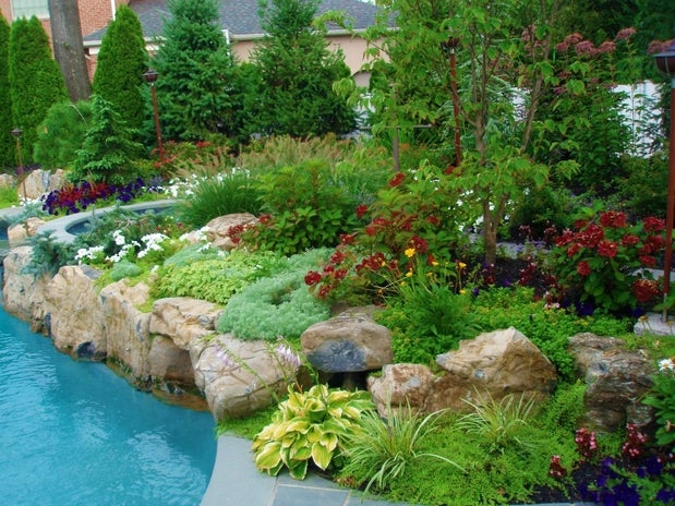 Everglade Landscaping