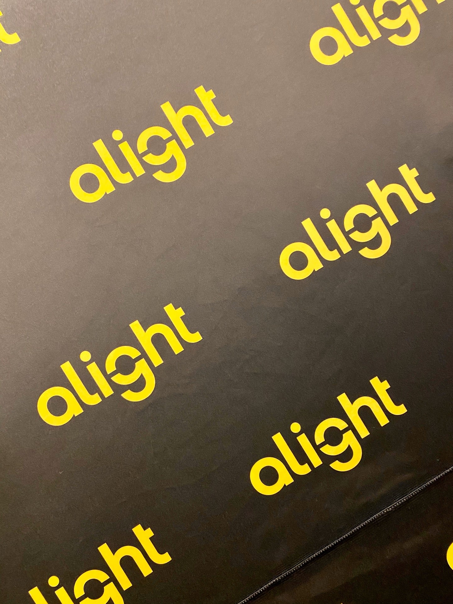 Alight Solutions Lincolnshire Il