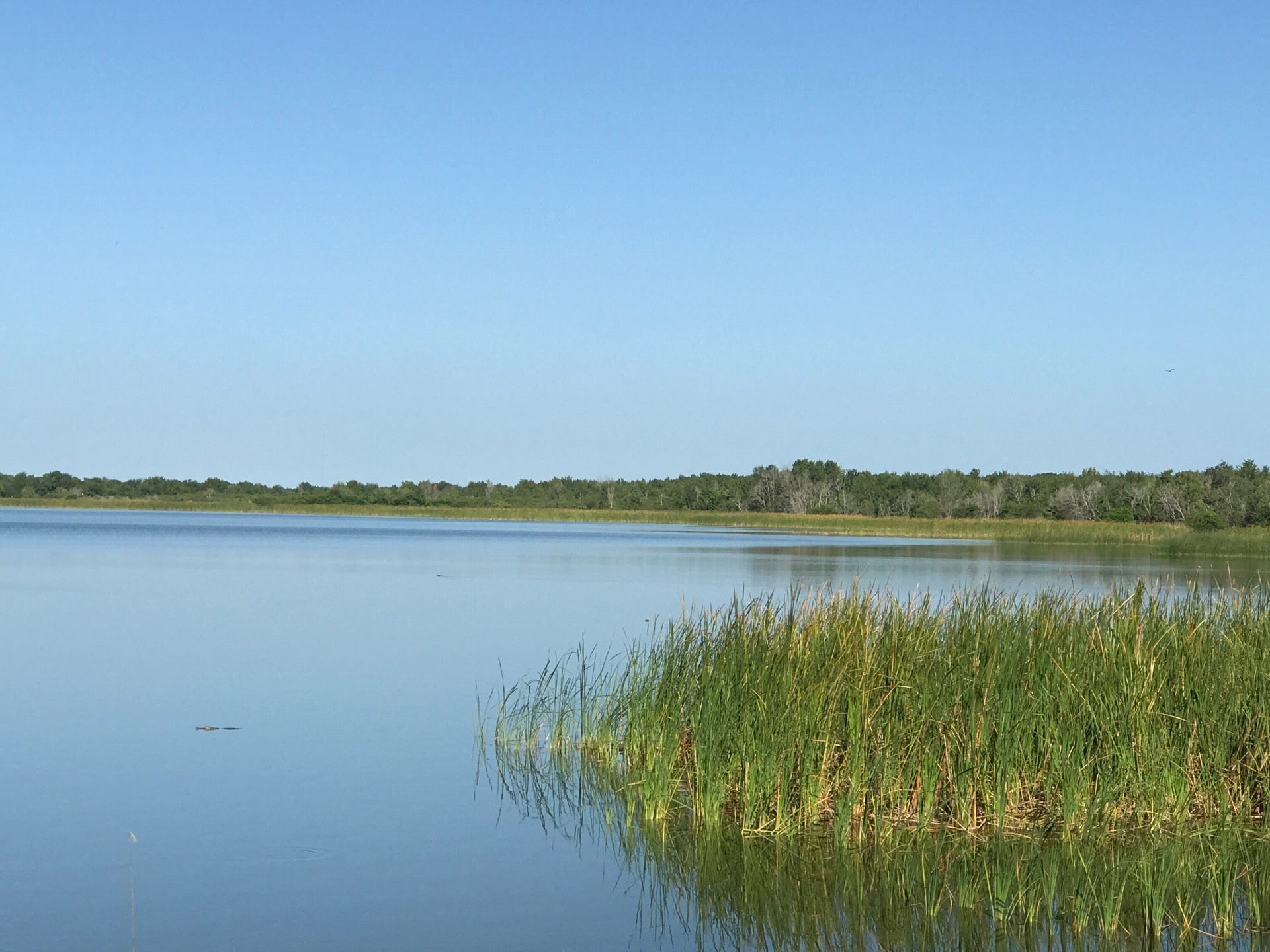 Ave Maria FL Map amp Directions - 8792709 XqAr RrdEJnFx8UERTZvFFjhZxqSy 7qYji7uDk8G4w 