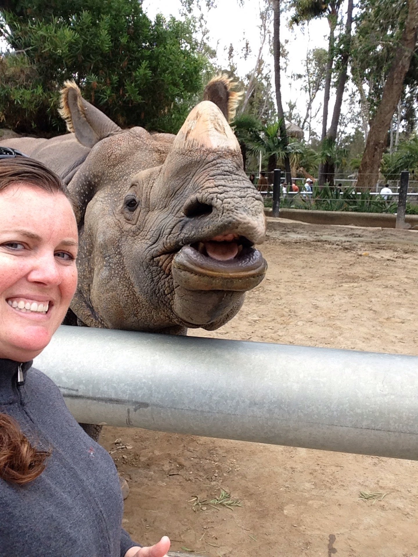 Urban Jungle, 2920 Zoo Dr, San Diego, CA, Zoos - MapQuest