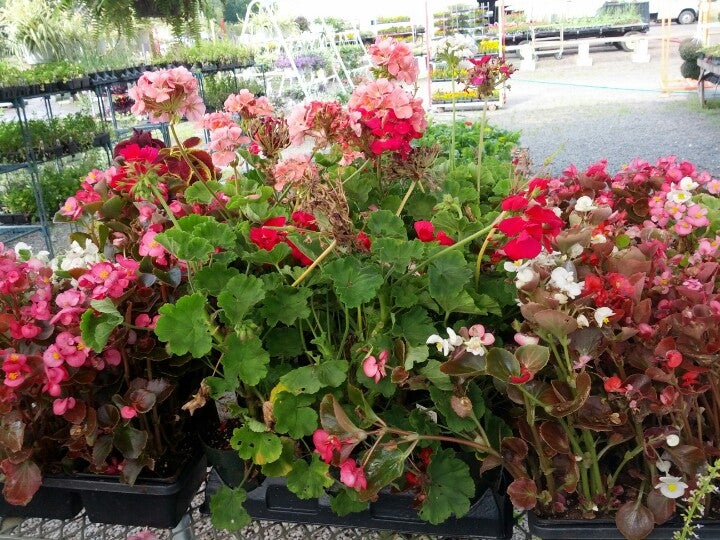 Gasko's Family Farms, 112 Federal Rd, Monroe Twp, NJ, Food Products