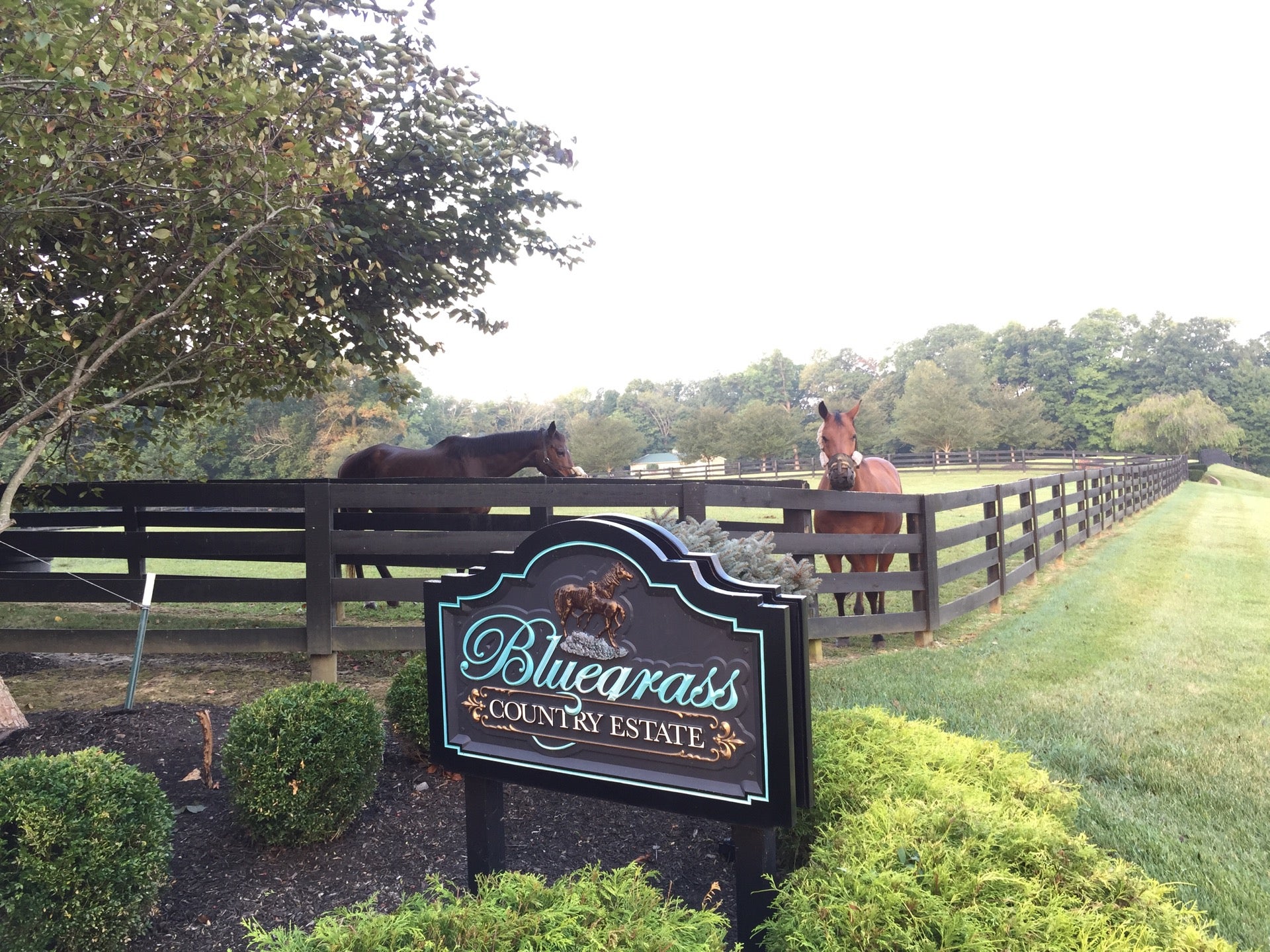 Pendleton, KY Map & Directions MapQuest