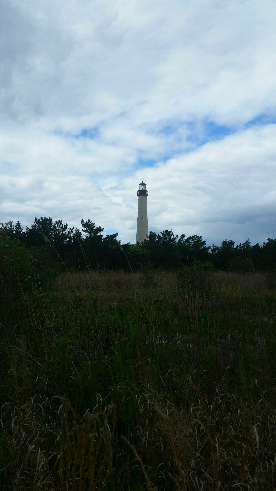 Cape May State Park Nature Trail, Cape May, NJ, Parks MapQuest
