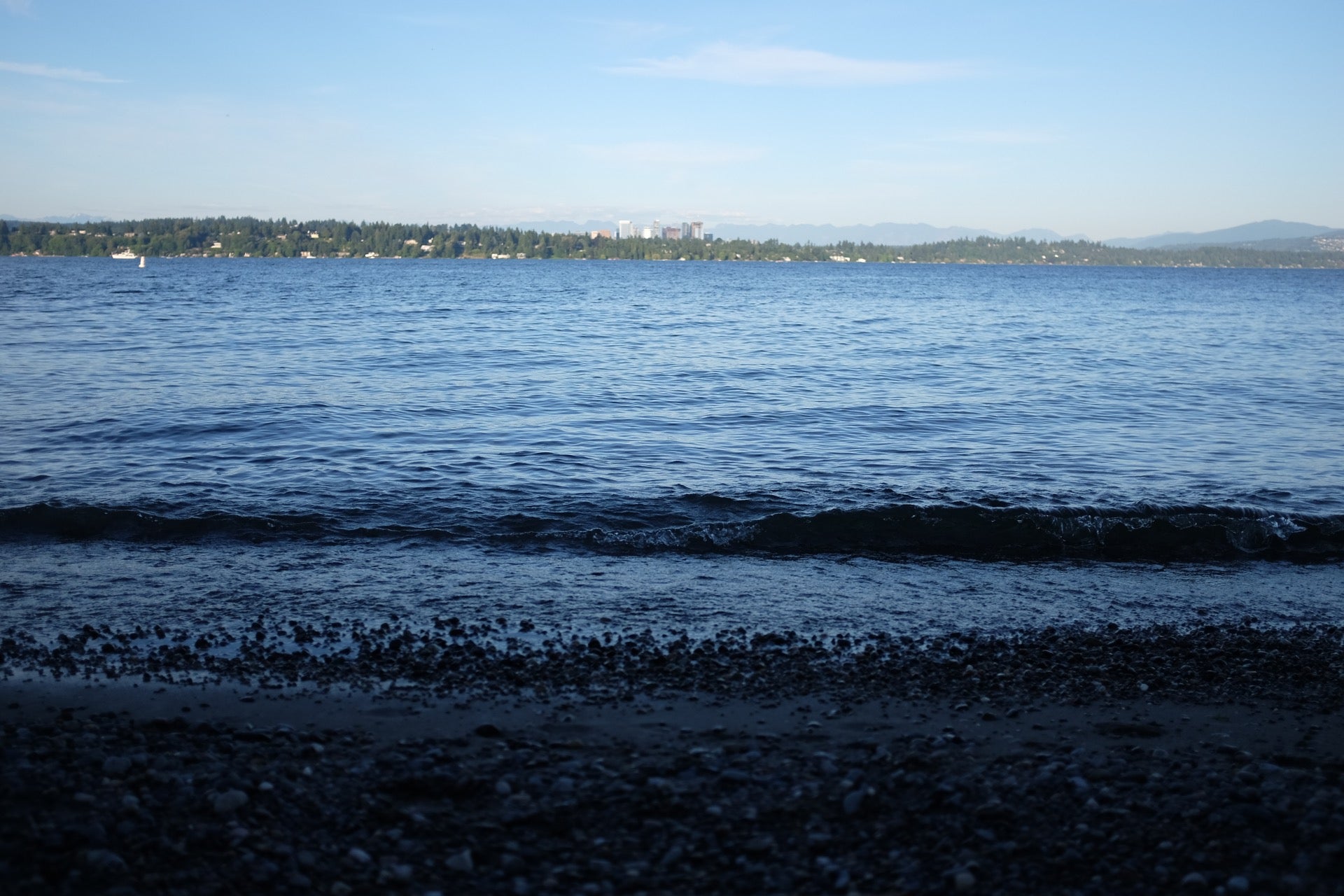 DENNY BLAINE PARK - 13 Photos & 39 Reviews - 200 Lake Washington Blvd E,  Seattle, Washington - Beaches - Phone Number - Yelp