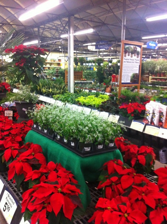 Stauffers of Kissel Hill Fresh Foods, 301 Rohrerstown Rd, Building 2