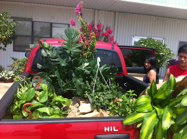 Joseph's Nursery, 3723 FM 1128 Rd, Pearland, TX, Garden Centers MapQuest