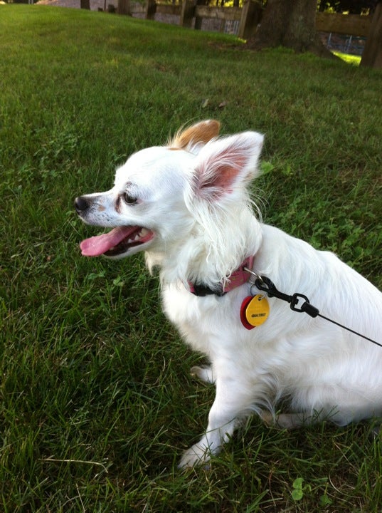 Middlebury, CT Map & Directions MapQuest