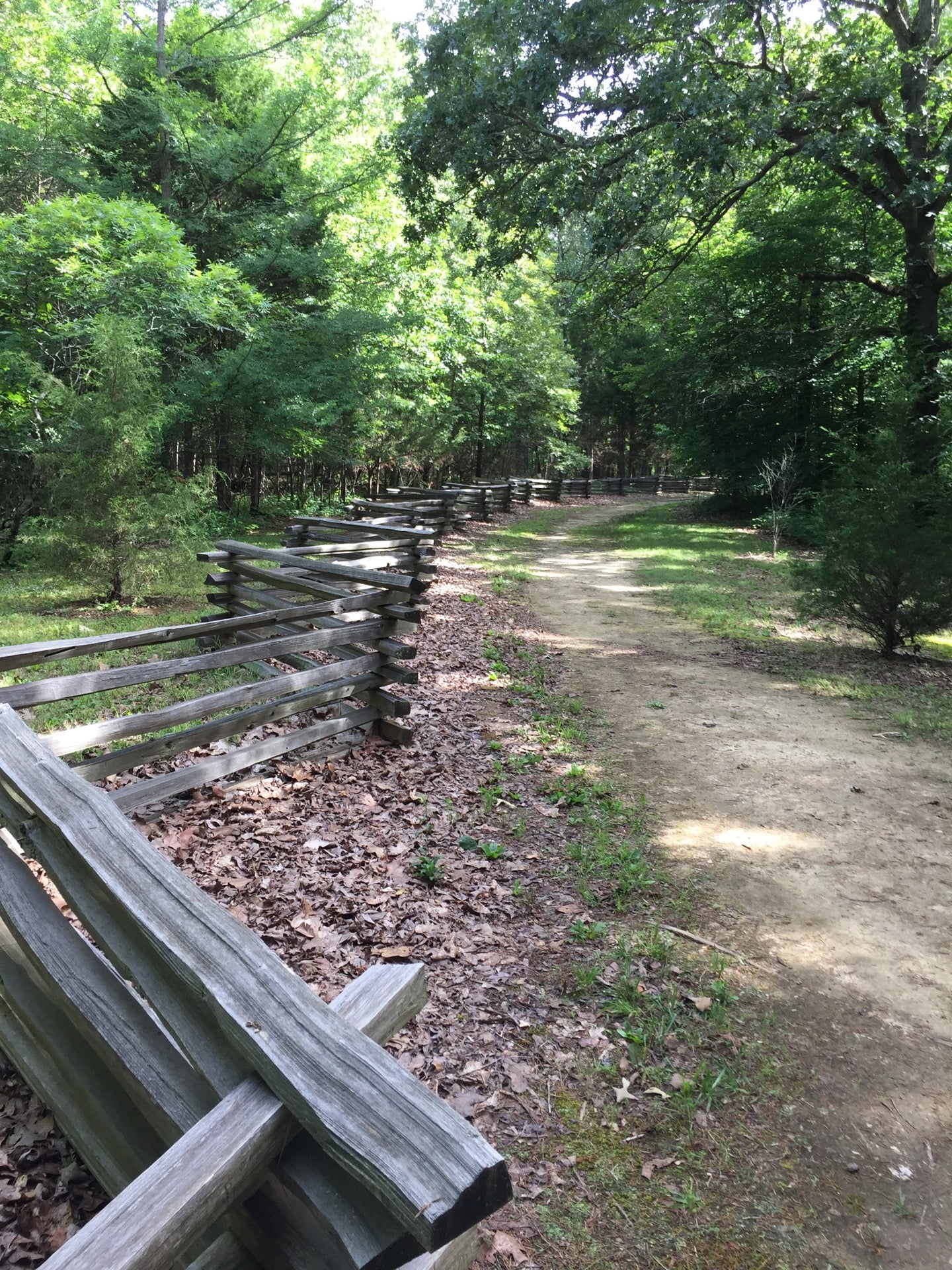 Hohenwald, TN Map & Directions - MapQuest