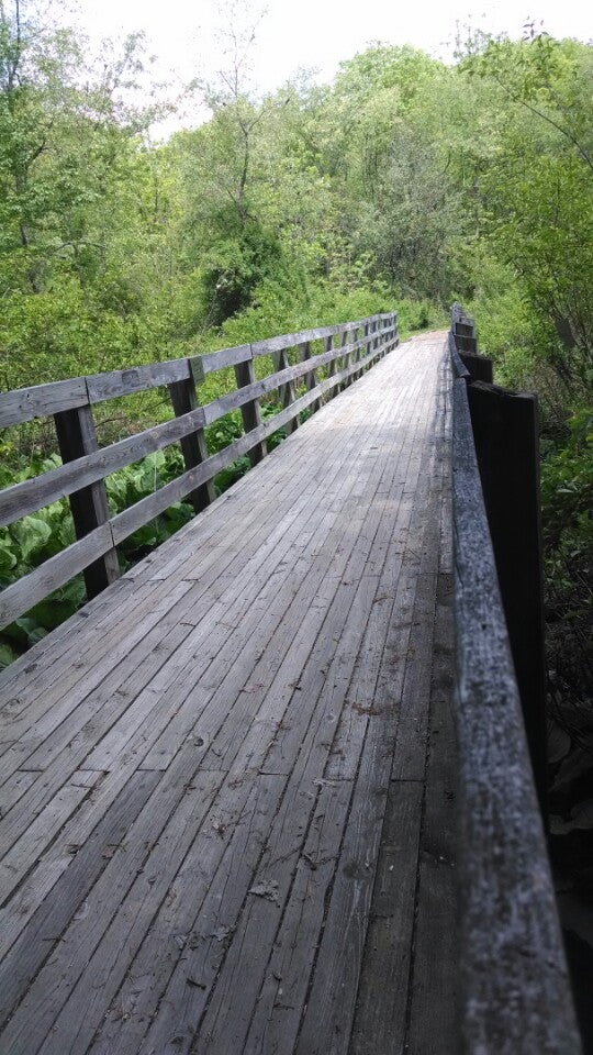 Wolf Creek Indian Village & Museum, 6394 N Scenic Hwy, Bastian, VA